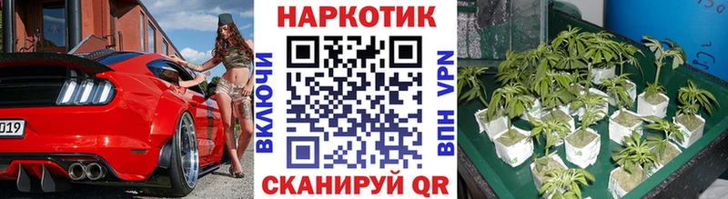 Где найти наркотики Малгобек МАРИХУАНА  mega ссылка  ГАШИШ  Меф мяу мяу 