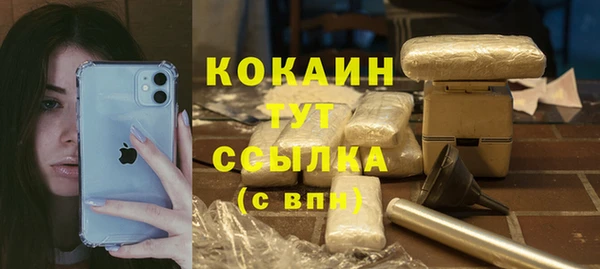 mdpv Каменка