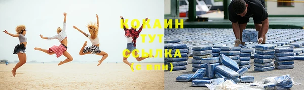 mdpv Каменка