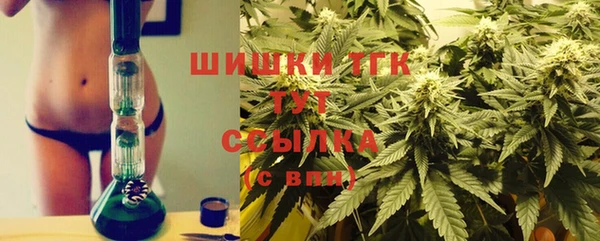 mdpv Каменка